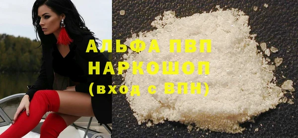 гашик Алексин