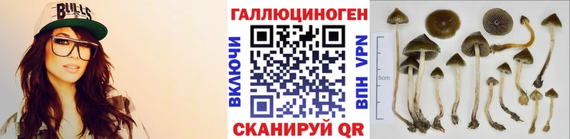 Псилоцибиновые грибы Cubensis Анапа